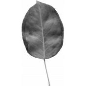 Leaves No. 2- Leaf Template 6