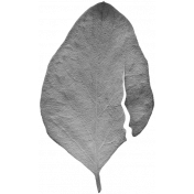 Leaves No. 2- Leaf Template 7