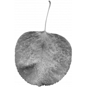 Leaves No. 2- Leaf Template 9