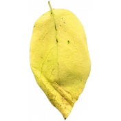 Leaves No.1 – Leaf 6
