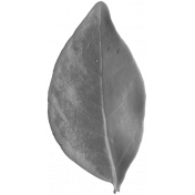 Leaves No.3 – Leaf 3 Template