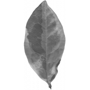 Leaves No.3 – Leaf 11 Template