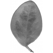Leaves No.3 – Leaf 12 Template