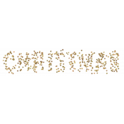 Light String Words- Star Christmas
