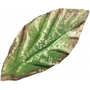 Leaves 07-03