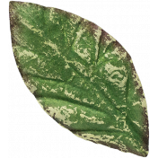 Leaves 07-04