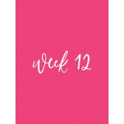 Back to Basics Week Pocket Card 02-023