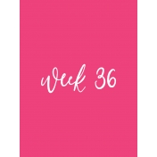 Back to Basics Week Pocket Card 02-071