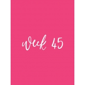 Back to Basics Week Pocket Card 02-089