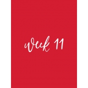 Back to Basics Week Pocket Card 01-021