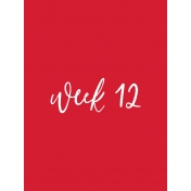 Back to Basics Week Pocket Card 01-023