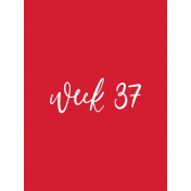 Back to Basics Week Pocket Card 01-073