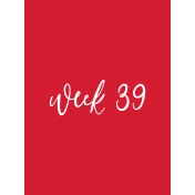 Back to Basics Week Pocket Card 01-077