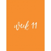 Back to Basics Week Pocket Card 04-021