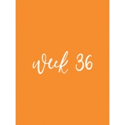 Back to Basics Week Pocket Card 04-071