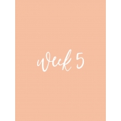 Back To Basics Week Pocket Card 10-009