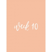 Back To Basics Week Pocket Card 10-019
