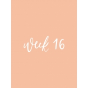 Back To Basics Week Pocket Card 10-031