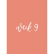 Back to Basics Week Pocket Card 05-017