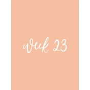 Back To Basics Week Pocket Card 10-045