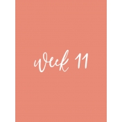 Back to Basics Week Pocket Card 05-021