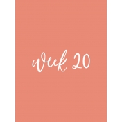 Back to Basics Week Pocket Card 05-039