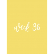 Back to Basics Week Pocket Card 06-071