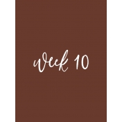 Back to Basics Week Pocket Card 08-019