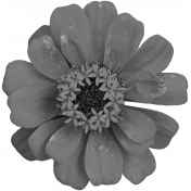 Flower No. 25-01 Template