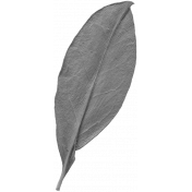 Leaves No.10 – Leaf 01 Template