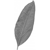 Leaves No.10 – Leaf 03 Template