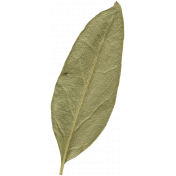 Leaves No.10 – Leaf 03