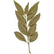Leaves No.10 – Leaf 11