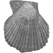 Sea Shells Vol.I-03 template