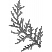 Leaves No.15- 05 Template