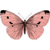 Our House Garden,Elements- Pink Butterfly