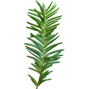 A Little Sparkle {Elements}- Green Yew Branch