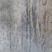 Textures No.5: Wood Texture 01
