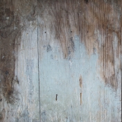 Textures No.5: Wood Texture 05