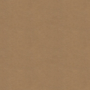 Kraft Paper 3