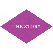 Back To Basics- The Story Label 16