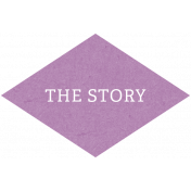 Back To Basics- The Story Label 21