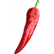 KMRD-Spicy Chili-redpepper