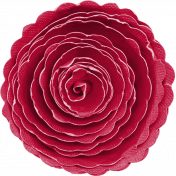 KMRD-Patriotic Flowers-rose-red