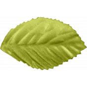 ColorAbstract_leaf 1