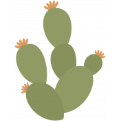 southwestern_cactus 5