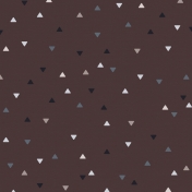 ps_paulinethompson_masculine_patterned paper 12