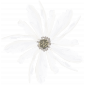 Our Special Day - Painted Flowers - Flower 12