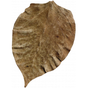 Yesteryear- Brown Leaf