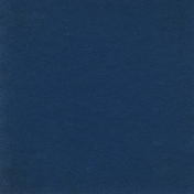 Picnic Day- Dark Blue 2 Solid Paper
